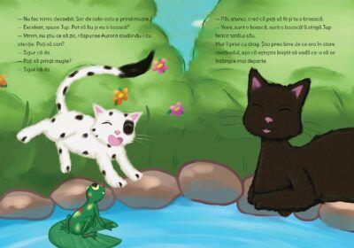 JUP, UN PISOI DE SOI - VOLUMUL IX - UN SALT NOROCOS - UNIVERS (9789733412380) - Libelula Vesela - Carti