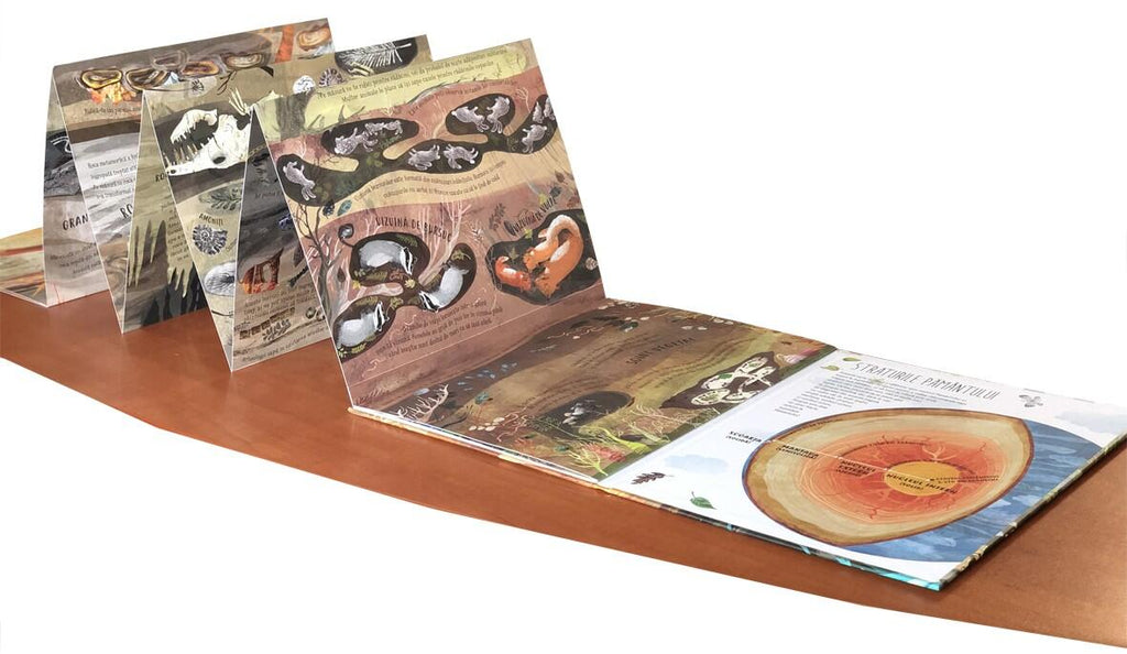 PAS CU PAS SPRE ADANCIMI - DPH (978-606-683-895-5) - Libelula Vesela - Carti