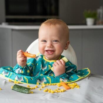 BAVETA MANECI SCURTE CU VENTUZE - ZEBRE VESELE - TIDY TOT (CC015) Libelula Vesela Puericultura