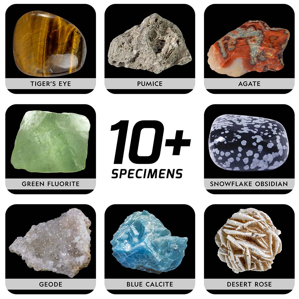 KIT CREATIV SA EXPLORAM PAMANTUL - NATIONAL GEOGRAPHIC (NG27611) - Libelula Vesela - Jucarii