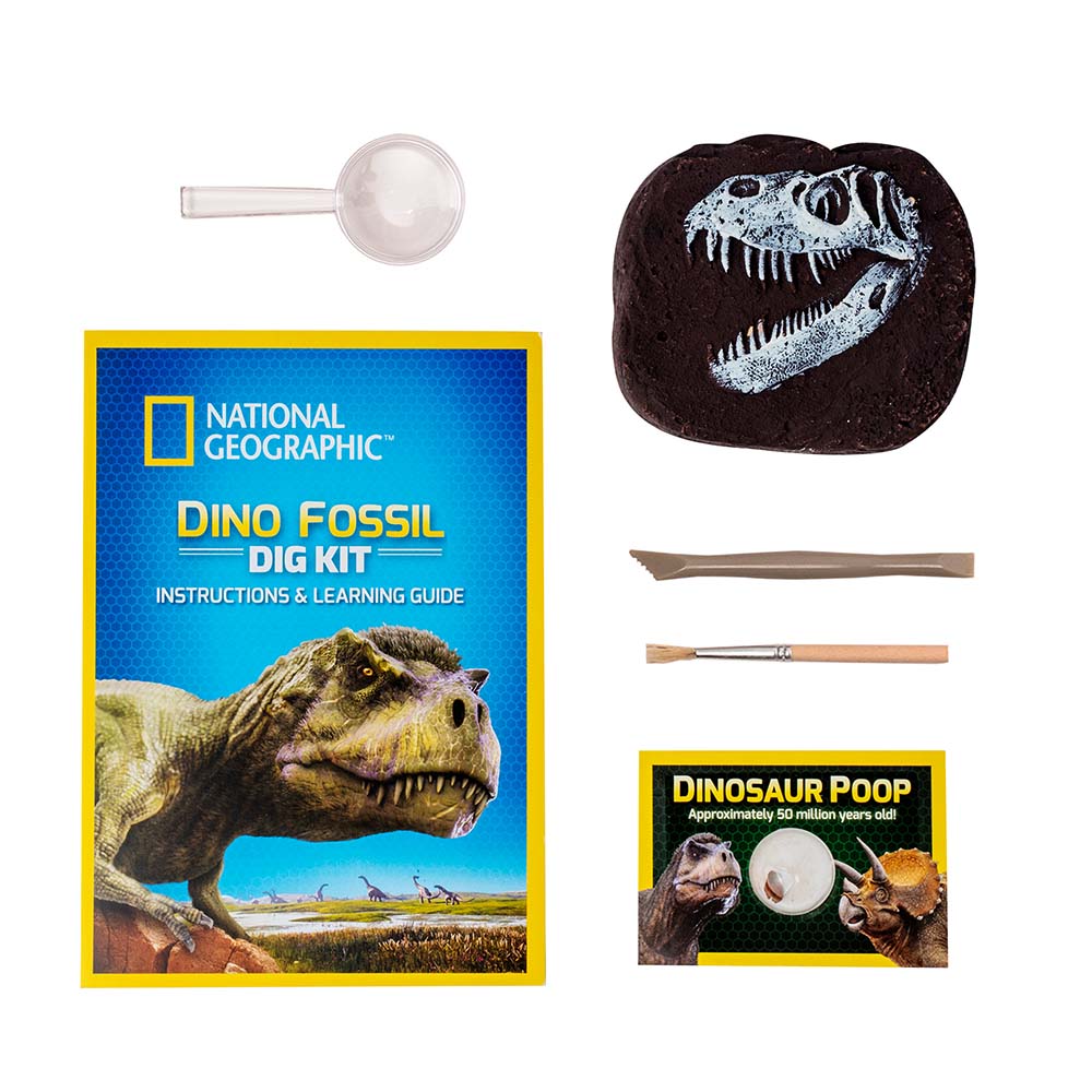 KIT CREATIV SA CAUTAM DINOZAURI - NATIONAL GEOGRAPHIC (NG29653) - Libelula Vesela - Jucarii