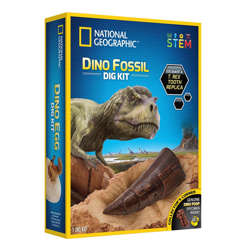 KIT CREATIV SA CAUTAM DINOZAURI - NATIONAL GEOGRAPHIC (NG29653) - Libelula Vesela - Jucarii