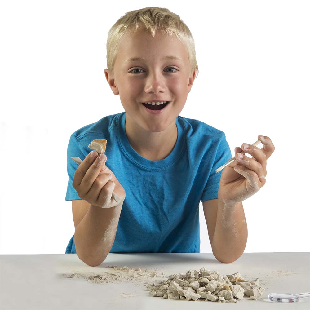 KIT CREATIV SA CAUTAM DINTI DE RECHINI - NATIONAL GEOGRAPHIC (NG29660) - Libelula Vesela - Jucarii