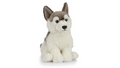 CATELUS DE PLUS HUSKY - KEYCRAFT (AN461) - Libelula Vesela - Jucarii
