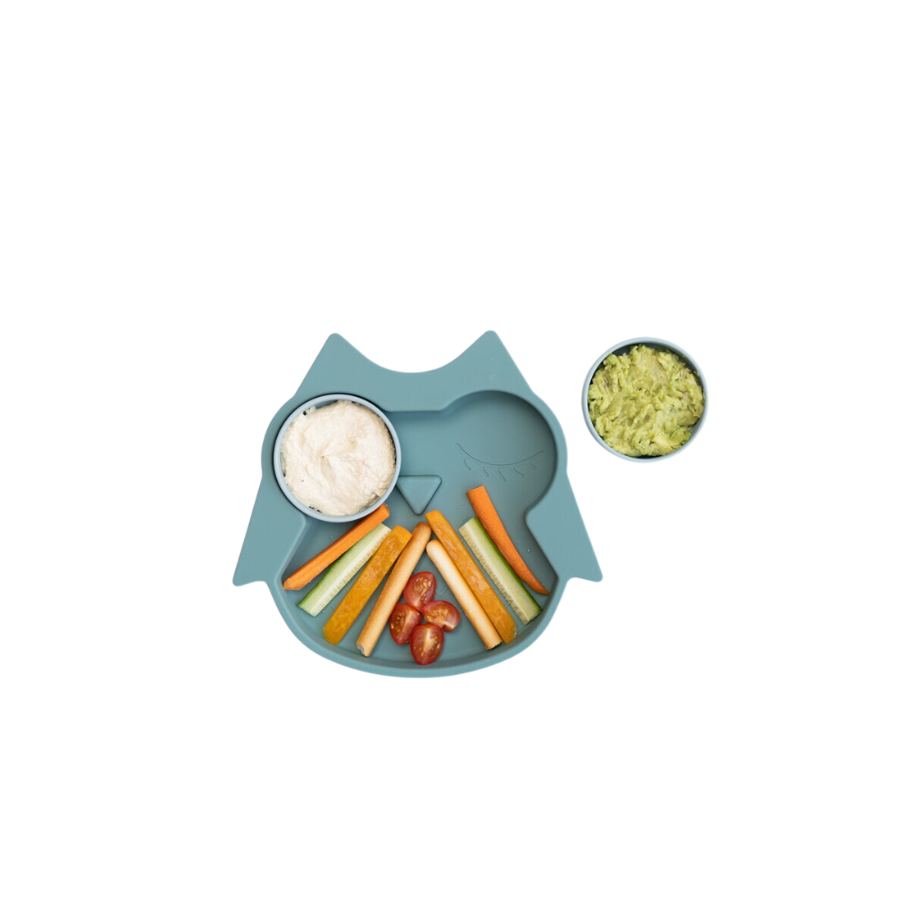 FARFURIE DIVERSIFICARE DIN SILICON - BUFNITA - TIDY TOT (TSPOW) - Libelula Vesela - Puericultura