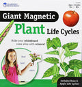 CICLUL VIETII PLANTEI - SET MAGNETIC - LEARNING RESOURCES (LER6045) - Libelula Vesela - Jucarii
