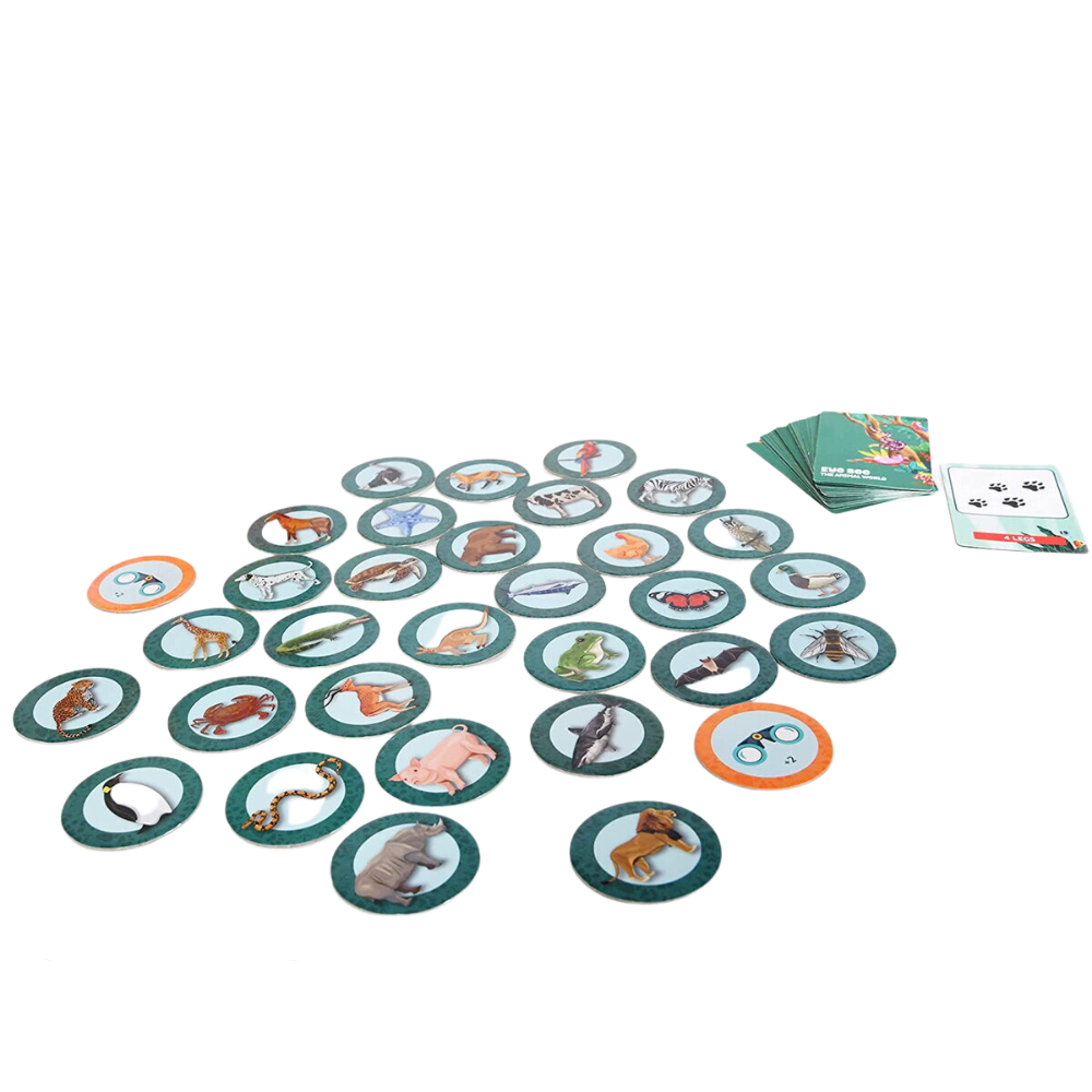 JOC DE LOGICA - EU VAD - LUMEA ANIMALELOR - CHALK AND CHUCKLES (CCPPL102) - Libelula Vesela - Jucarii