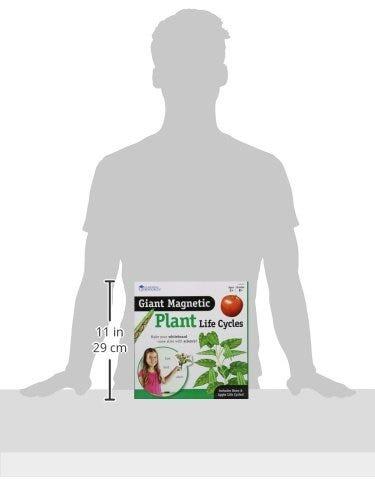 CICLUL VIETII PLANTEI - SET MAGNETIC - LEARNING RESOURCES (LER6045) - Libelula Vesela - Jucarii