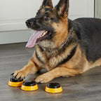 SET DRESAJ CAINI - SONERII DRESAJ CATEL CUVINTE ESENTIALE - HUNGER FOR WORDS (LER9353) - Libelula Vesela - Jucarii