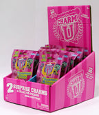 CHARM U - SET DE 2 TALISMANE CU AUTOCOLANTE - CEPIA (CU30040) - Libelula Vesela - Jucarii