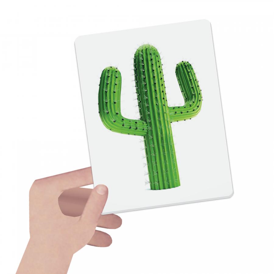 MONTESSORI - CARTONASE SA INVATAM CULORILE - HEADU (HE27859) - Libelula Vesela - Jucarii