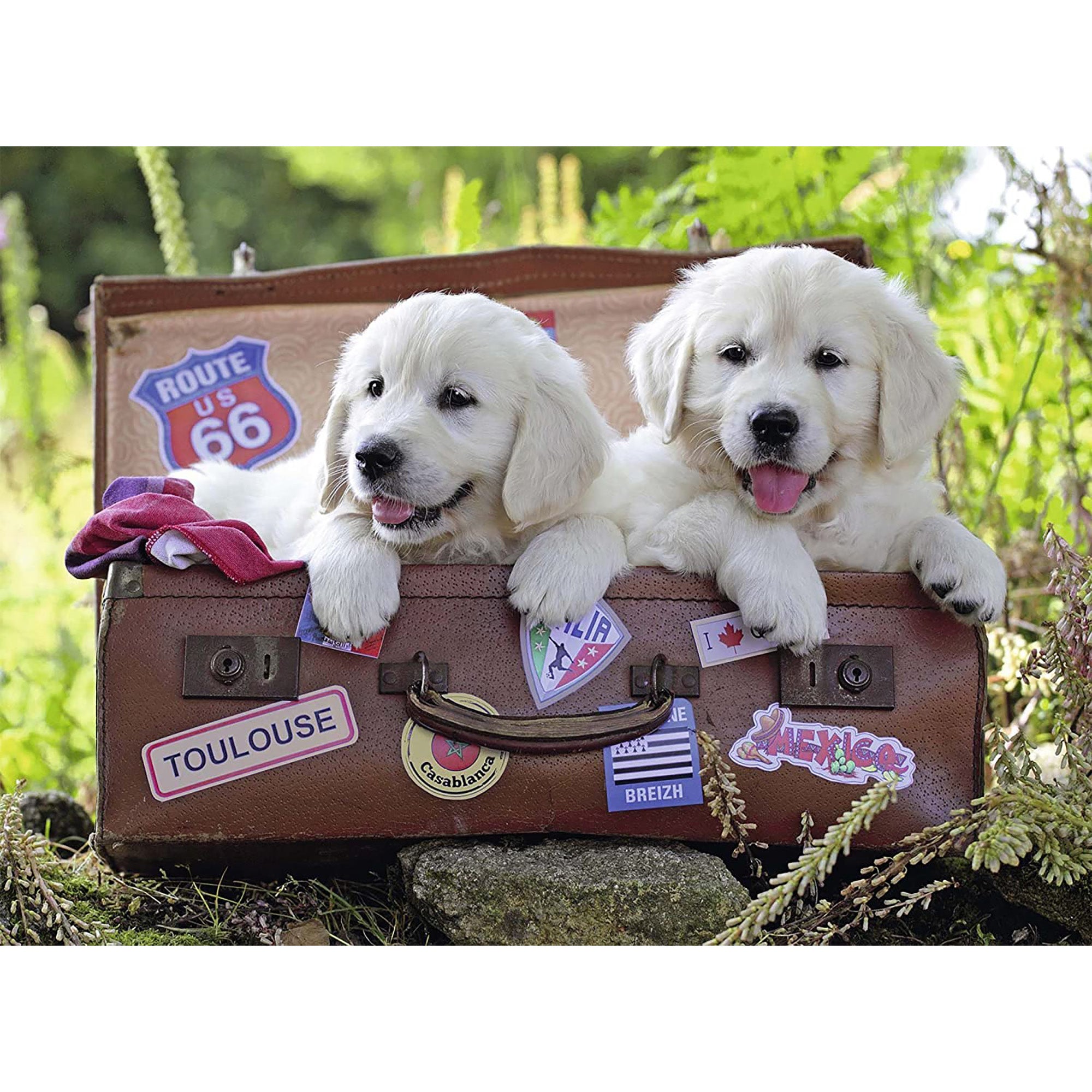 PUZZLE CATEI IN VALIZA, 100 PIESE - RAVENSBURGER (RVSPC10538) - Libelula Vesela - Jucarii