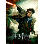 PUZZLE HARRY POTTER, 100 PIESE - RAVENSBURGER (RVSPC12869) - Libelula Vesela - Jucarii