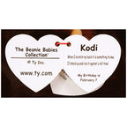 PLUS URSULETUL KODI (15 CM) - TY (ST9XTY40170) - Libelula Vesela - Jucarii