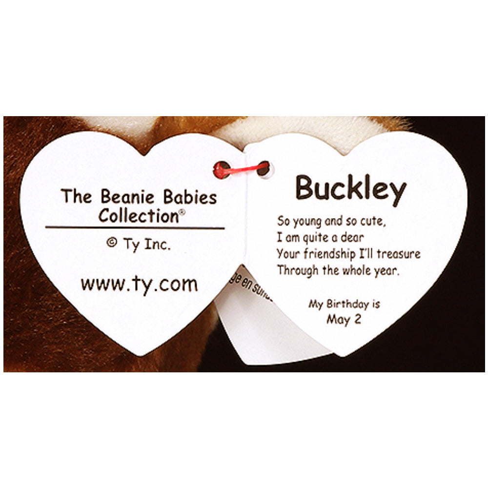 PLUS CERB PUI BUCKLEY (24 CM) - TY (ST9XTY90283) - Libelula Vesela - Jucarii