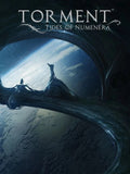 TORMENT: TIDES OF NUMENERA - STEAM - MULTILANGUAGE - EU - PC - Libelula Vesela - Jocuri video