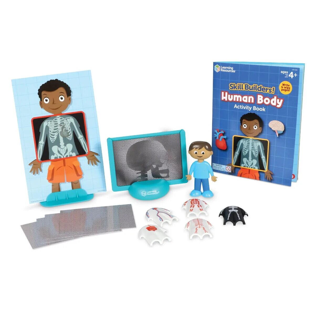SET ACTIVITATI EDUCATIVE - CORPUL UMAN - LEARNING RESOURCES (LER1261) - Libelula Vesela - Jucarii