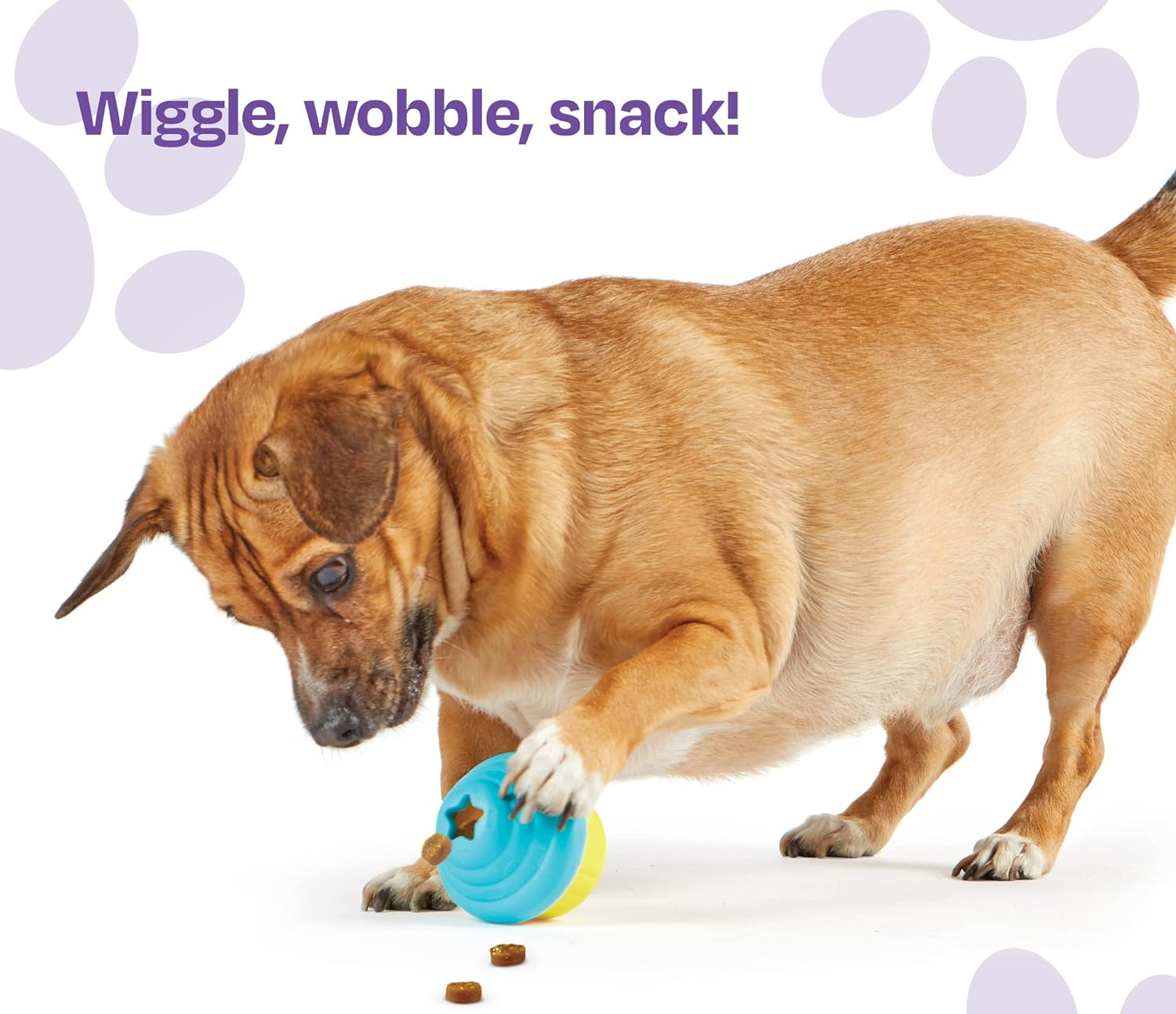 JUCARIE DRESAJ CAINI - JUCARIE ELIBERARE RECOMPENSE BRIOSA - BRIGHTKINS (LER9373) - Libelula Vesela - Jucarii