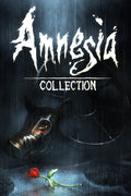 AMNESIA COLLECTION - STEAM - PC - WORLDWIDE - Libelula Vesela - Jocuri video