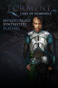 TORMENT: TIDES OF NUMENERA - MINDFORGED SYNTHSTEEL PLATING - PC - STEAM - MULTILANGUAGE - WORLDWIDE - Libelula Vesela - Jocuri video