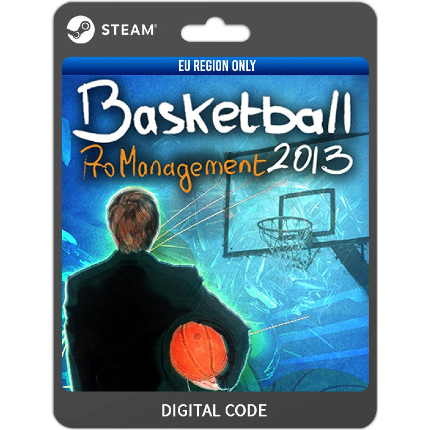 BASKETBALL PRO MANAGEMENT 2013 - STEAM - PC - EU - Libelula Vesela - Jocuri video