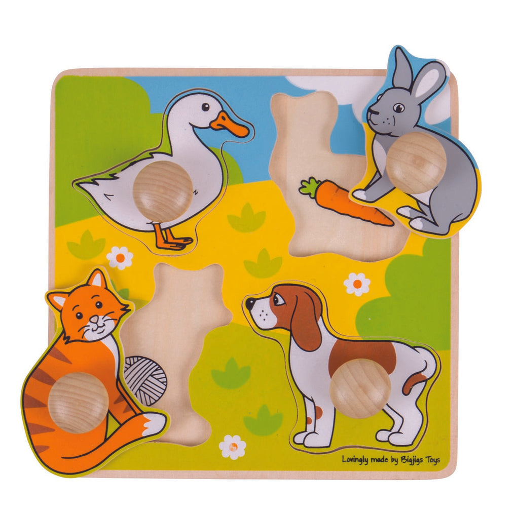 PRIMUL MEU PUZZLE - ANIMALE DE COMPANIE - BIGJIGS (BJ224) - Libelula Vesela - Jucarii