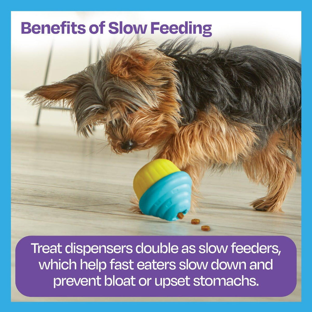 JUCARIE DRESAJ CAINI - JUCARIE ELIBERARE RECOMPENSE BRIOSA - BRIGHTKINS (LER9373) - Libelula Vesela - Jucarii