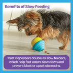 JUCARIE DRESAJ CAINI - JUCARIE ELIBERARE RECOMPENSE BRIOSA - BRIGHTKINS (LER9373) - Libelula Vesela - Jucarii