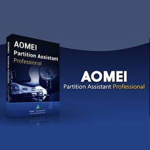 AOMEI PARTITION ASSISTANT PROFESSIONAL EDITION (LIFETIME / 2 PC) - PC - OFFICIAL WEBSITE - MULTILANGUAGE - WORLDWIDE - Libelula Vesela - Jocuri video