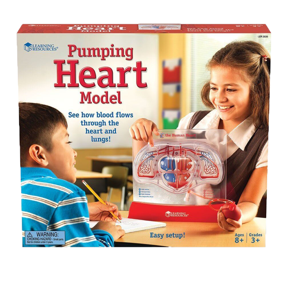 SABLON INIMA - POMPAREA SANGELUI - LEARNING RESOURCES (LER3535) Libelula Vesela