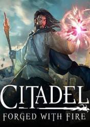 CITADEL: FORGED WITH FIRE - STEAM - WORLDWIDE - MULTILANGUAGE - PC - Libelula Vesela - Jocuri video