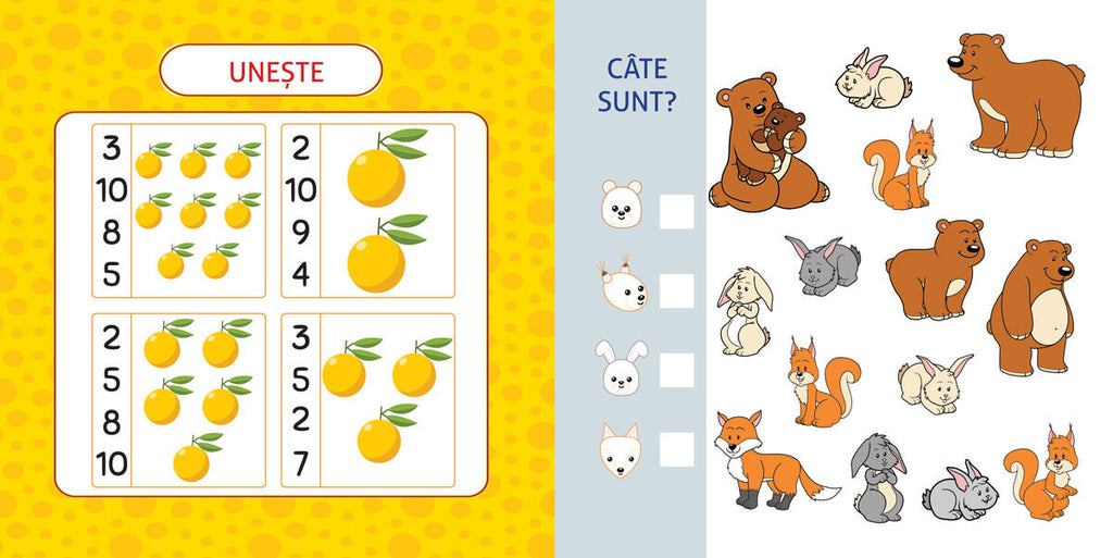 ACTIVITATI MATEMATICE PENTRU PRESCOLARI - DPH (978-606-048-430-1) - Libelula Vesela - Carti