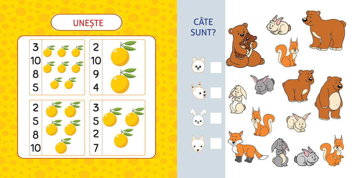 ACTIVITATI MATEMATICE PENTRU PRESCOLARI - DPH (978-606-048-430-1) - Libelula Vesela - Carti