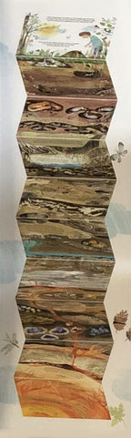 PAS CU PAS SPRE ADANCIMI - DPH (978-606-683-895-5) - Libelula Vesela - Carti