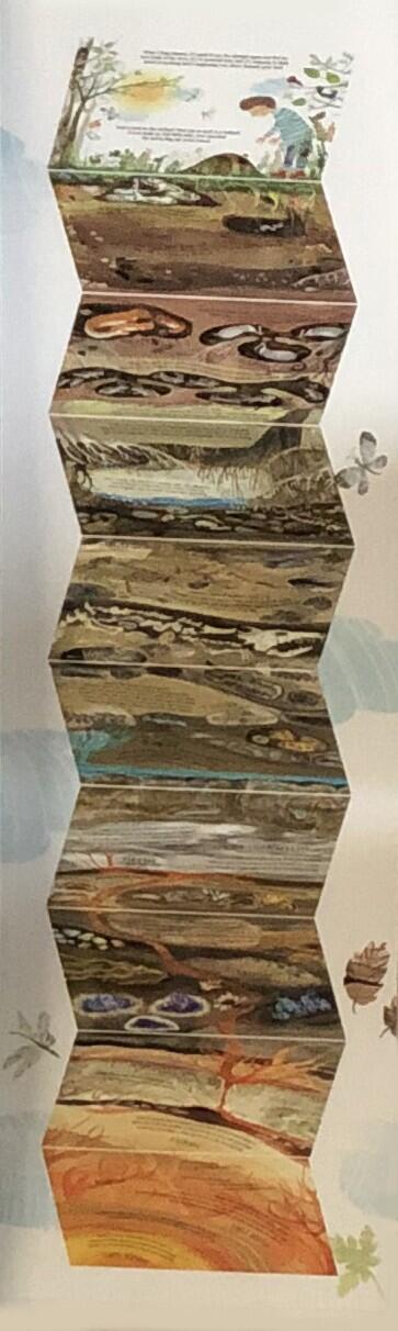 PAS CU PAS SPRE ADANCIMI - DPH (978-606-683-895-5) - Libelula Vesela - Carti