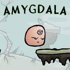 AMYGDALA - STEAM - PC - MULTILANGUAGE - WORLDWIDE - Libelula Vesela - Jocuri video