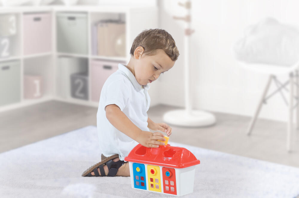 JOC SORTARE - CASUTA COLORATA CU CHEI - DOLU (D5097) - Libelula Vesela - Jucarii