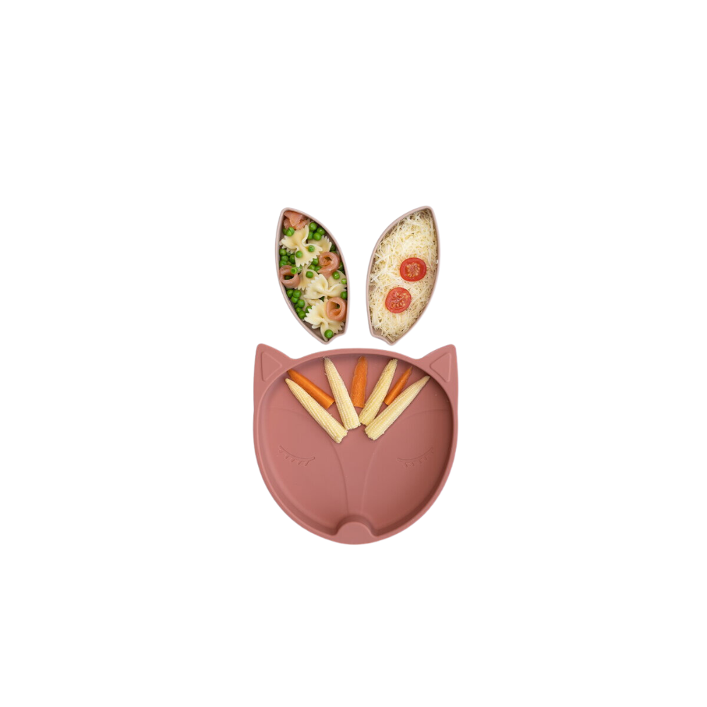 FARFURIE DIVERSIFICARE DIN SILICON - VULPITA - TIDY TOT (TSPFX) - Libelula Vesela - Puericultura