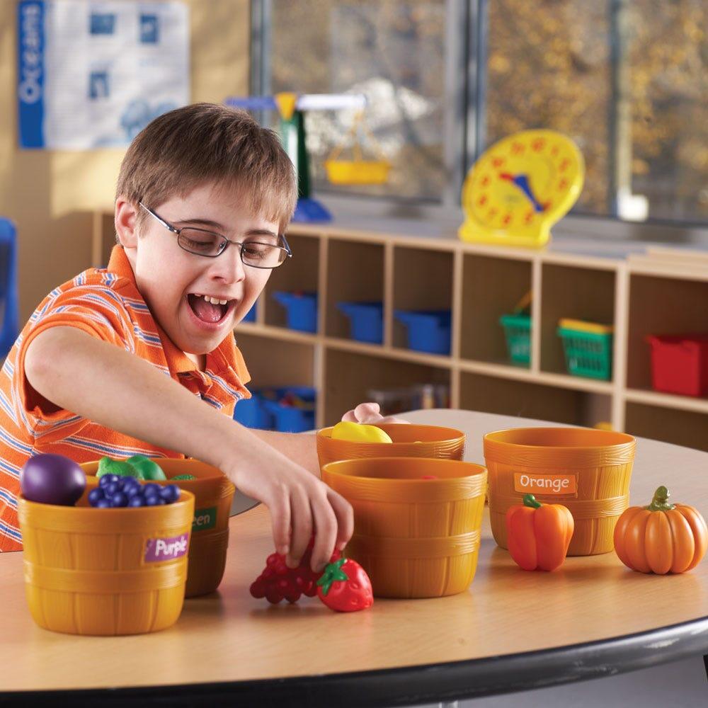 SET PENTRU SORTAT - MAGAZINUL FERMIERULUI - LEARNING RESOURCES (LER3060) - Libelula Vesela - Jucarii