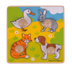PRIMUL MEU PUZZLE - ANIMALE DE COMPANIE - BIGJIGS (BJ224) - Libelula Vesela - Jucarii