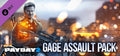 PAYDAY 2: GAGE ASSAULT PACK - STEAM - WORLDWIDE - MULTILANGUAGE - PC - Libelula Vesela - Jocuri video