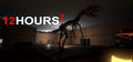 12 HOURS 2 - STEAM - PC - WORLDWIDE - EN, RU - Libelula Vesela - Jocuri video
