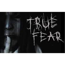 TRUE FEAR: FORSAKEN SOULS - STEAM - PC - WORLDWIDE - Libelula Vesela - Jocuri video