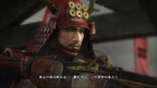 NOBUNAGA'S AMBITION: SPHERE OF INFLUENCE - ASCENSION - STEAM - PC - WORLDWIDE - Libelula Vesela - Jocuri video