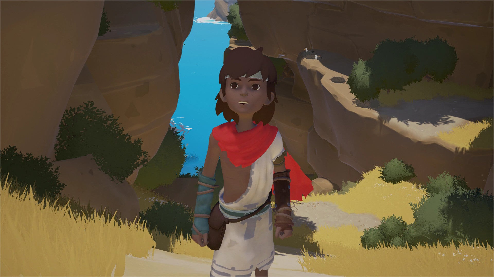 RIME - STEAM - PC - WORLDWIDE Libelula Vesela Jocuri video