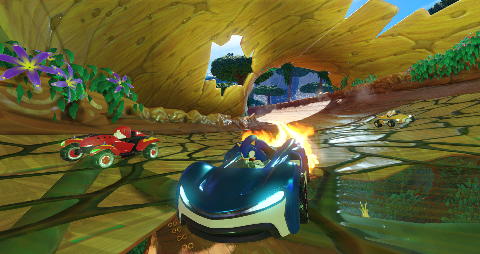 TEAM SONIC RACING - STEAM - MULTILANGUAGE - EU - PC - Libelula Vesela - Jocuri video