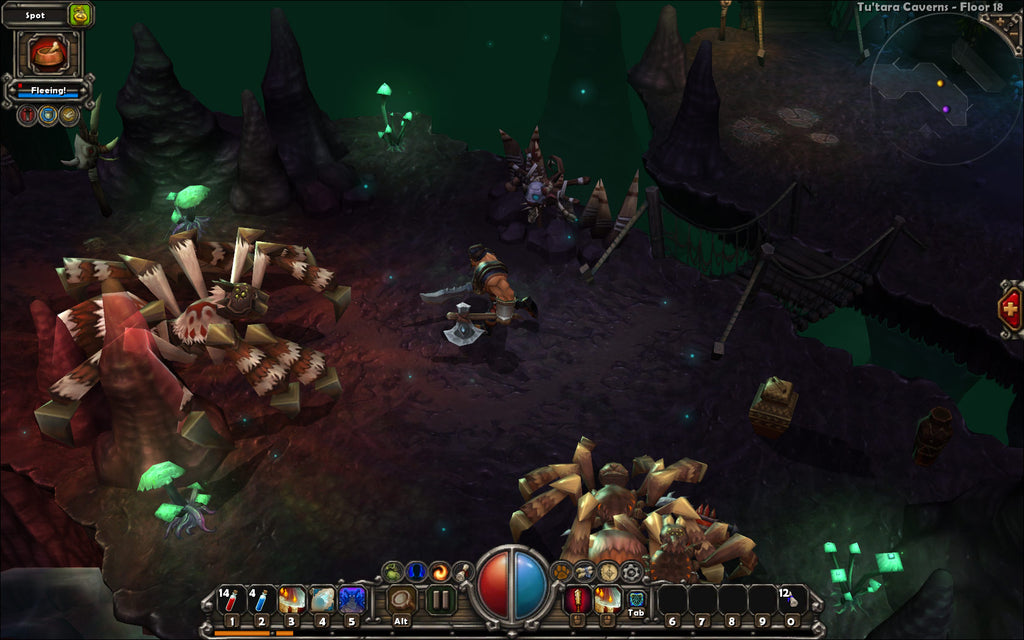 TORCHLIGHT - STEAM - PC / MAC - WORLDWIDE - Libelula Vesela - Jocuri video