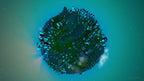 THE UNIVERSIM - STEAM - MULTILANGUAGE - WORLDWIDE - PC - Libelula Vesela - Jocuri video