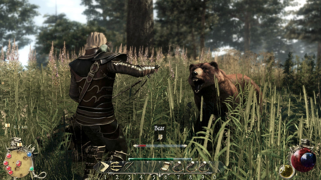 TWO WORLDS II - PIRATES OF THE FLYING FORTRESS - STEAM - PC / MAC - WORLDWIDE Libelula Vesela Jocuri video