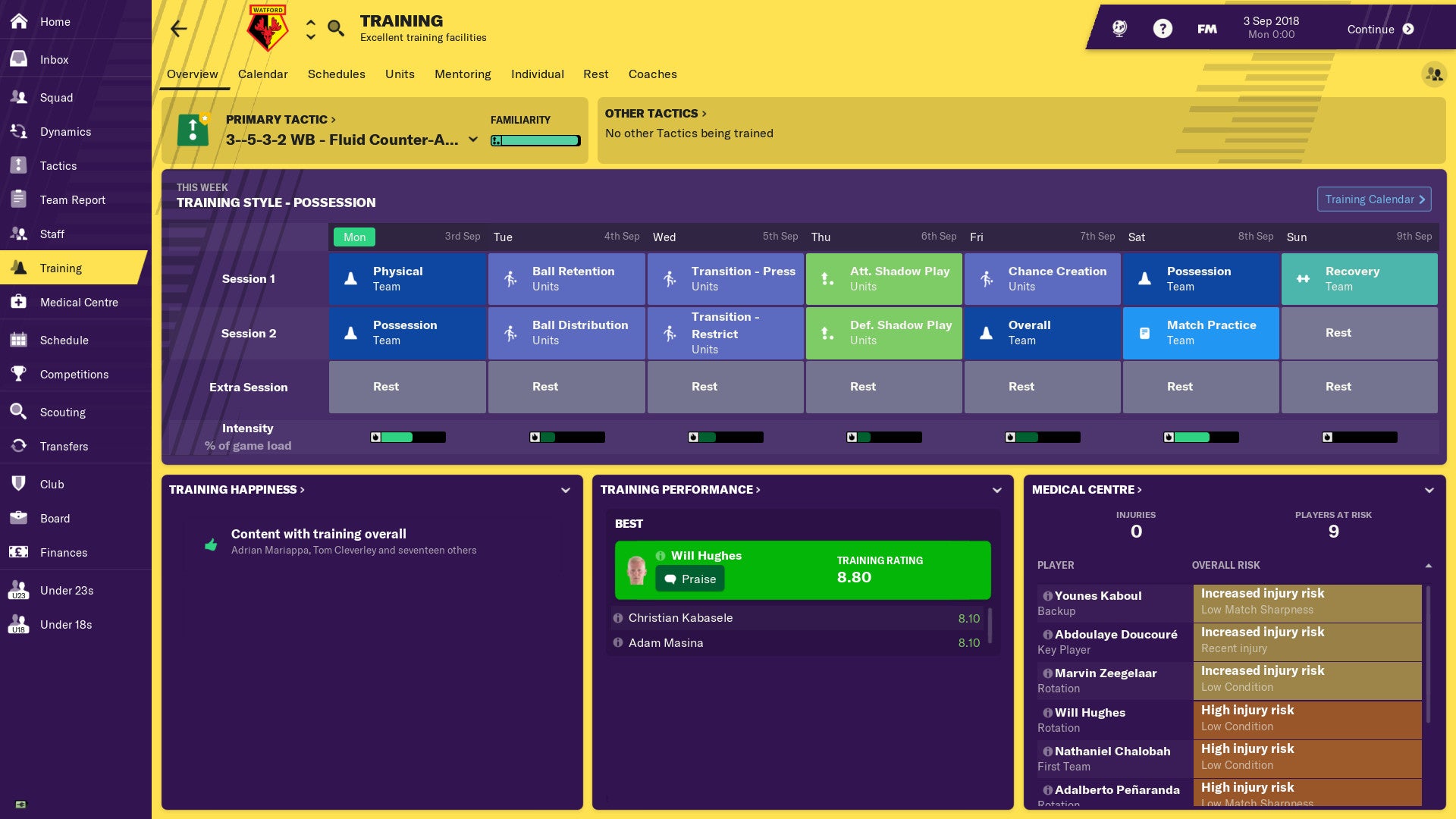 FOOTBALL MANAGER 2019 - STEAM - PC / MAC - EMEA - Libelula Vesela - Jocuri video